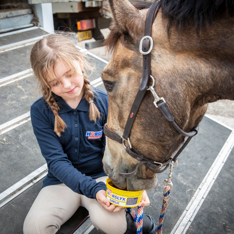 Horslyx hvidløg slikkesten 650 gram Horslyx hvidløg slikkesten 650 gram