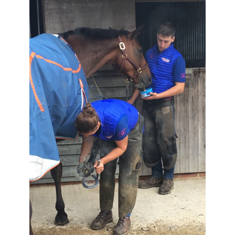 Horslyx åndedræt 650 gram slikkesten Horslyx åndedræt 650 gram slikkesten
