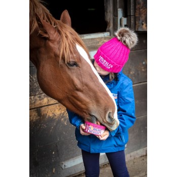 Pro-digest slikkesten 650 gram Horslyx Pro-digest slikkesten 650 gram Horslyx