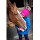 Horslyx
