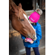 Horslyx