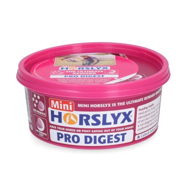 Pro-digest slikkesten 650 gram Horslyx