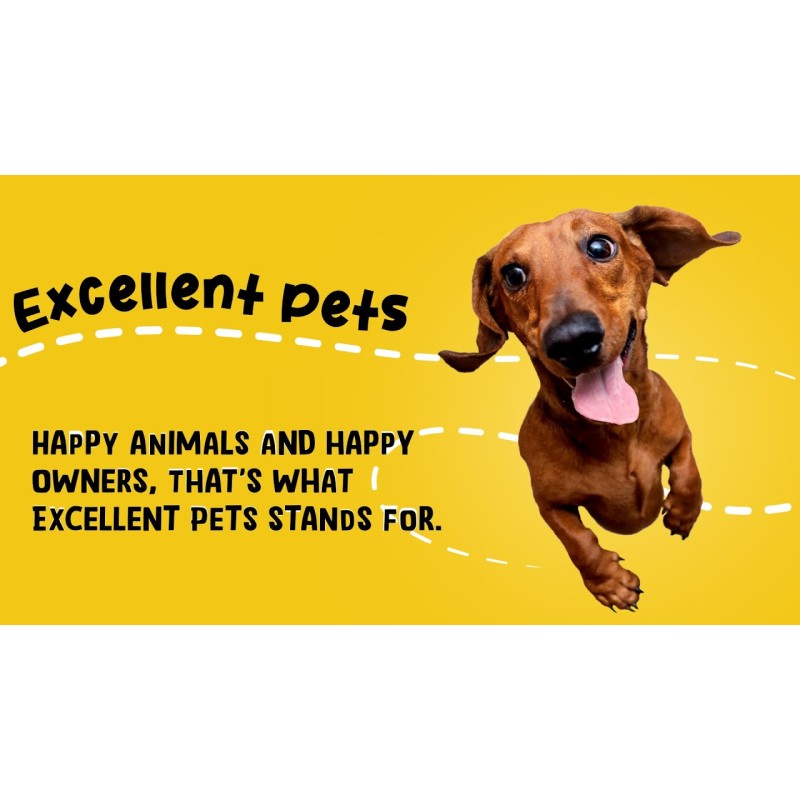 Excellent Pets Gland Guard Soft Chews 120 Treats Excellent Pets Gland Guard Soft Chews 120 Treats