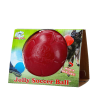 Jolly Fodbold Rød S (15 cm) Jolly Fodbold Rød S (15 cm)
