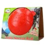 Fodbold Orange L (20 cm) Jolly