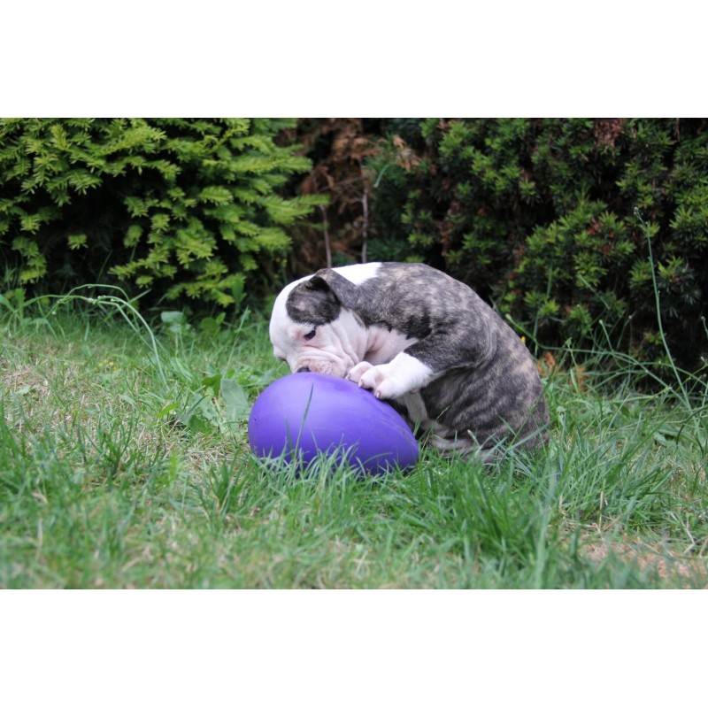 Jolly Egg Lilla S (20 cm) Jolly Egg Lilla S (20 cm)