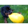 Jolly Egg Lilla L (30 cm) Jolly Egg Lilla L (30 cm)