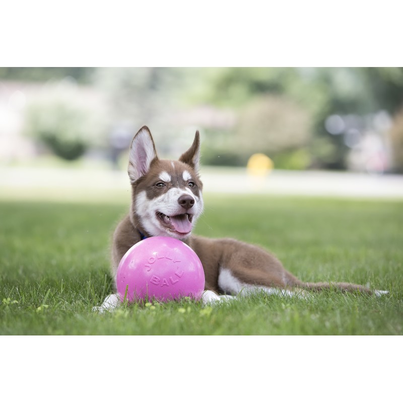 Jolly Bounce-n Play Bubblegum L (20 cm) Jolly Bounce-n Play Bubblegum L (20 cm)