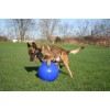 Jolly Push-n-Play Blå L (25 cm) Jolly Push-n-Play Blå L (25 cm)