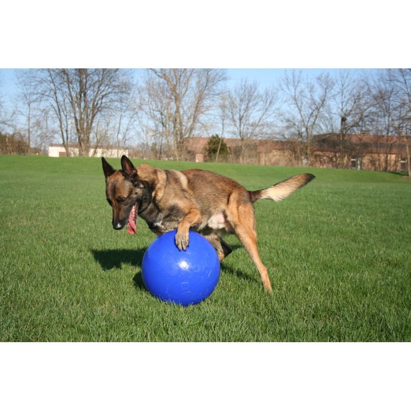 Jolly Push-n-Play Blå L (25 cm) Jolly Push-n-Play Blå L (25 cm)