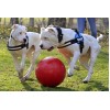 Jolly Push-n-Play Rød XL (35 cm) Jolly Push-n-Play Rød XL (35 cm)