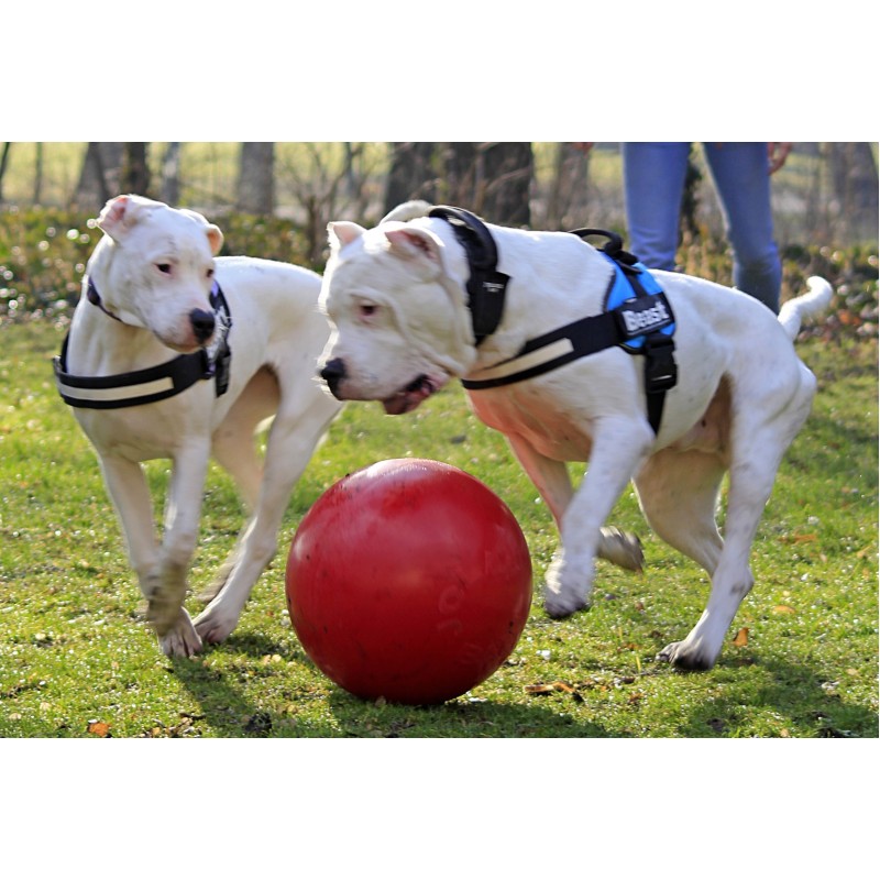 Jolly Push-n-Play Rød XL (35 cm) Jolly Push-n-Play Rød XL (35 cm)