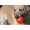 Jolly Jumper Orange S (7,6 cm) Jolly Jumper Orange S (7,6 cm)