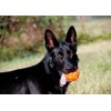 Jolly Jumper Orange S (7,6 cm) Jolly Jumper Orange S (7,6 cm)