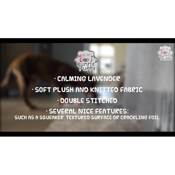 Buttet Bunny Puppy Hundelegetøj