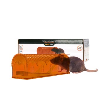 Rottefælde i live Knock Pest