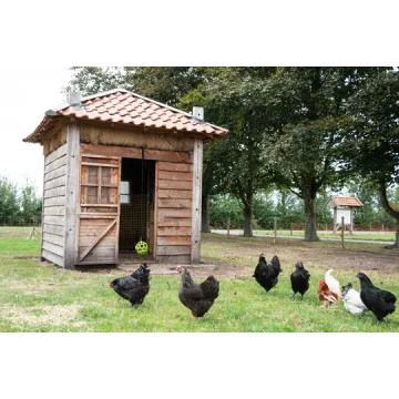 Pick-blok til kyllinger 3,5 kg Lax