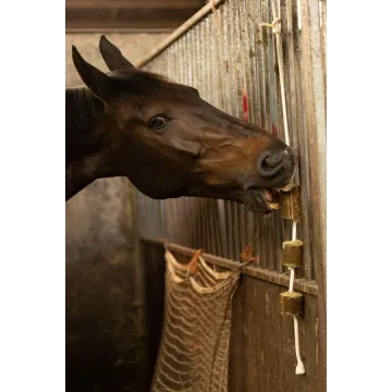 Lucerne på reb til heste Lax Lucerne på reb til heste Lax