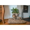 Plyspude Hundeseng M Taupe Let's Sleep