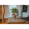 Let's Sleep Plyspude hundeseng L taupe L103.4cm Let's Sleep Plyspude hundeseng L taupe L103.4cm