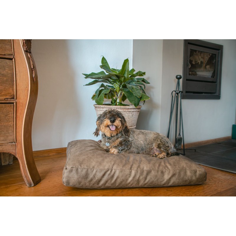 Plyspude Hundeseng M Taupe Let's Sleep