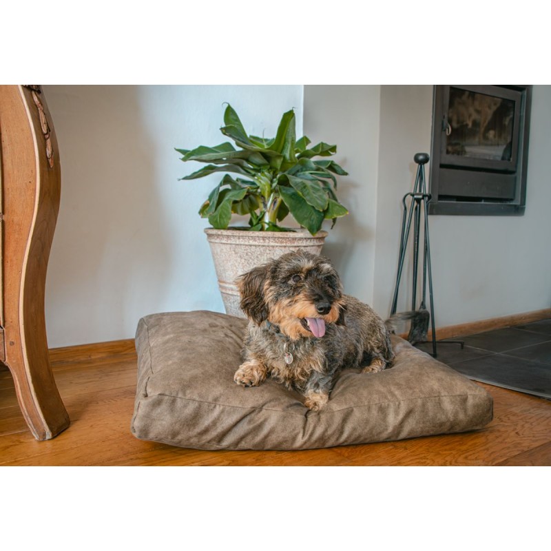 Plyspude Hundeseng M Taupe Let's Sleep
