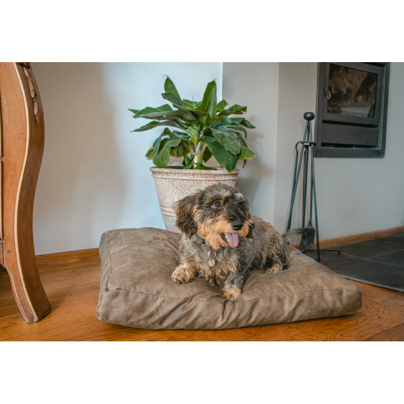 Let's Sleep Plyspude hundeseng L taupe L103.4cm Let's Sleep Plyspude hundeseng L taupe L103.4cm