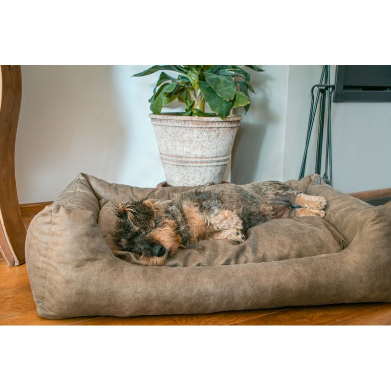 Sweet Dreams Hundekurv med Pude XL Cognac Let's Sleep Sweet Dreams Hundekurv med Pude XL Cognac Let's Sleep