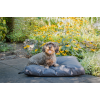 Let's Sleep Cushy Cloud udendørs hundeseng XL antracit L117.7cm Let's Sleep Cushy Cloud udendørs hundeseng XL antracit L117.7cm