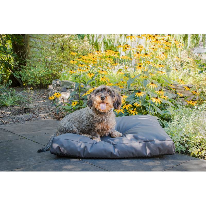 Let's Sleep Cushy Cloud udendørs hundeseng XL antracit L117.7cm Let's Sleep Cushy Cloud udendørs hundeseng XL antracit L117.7cm
