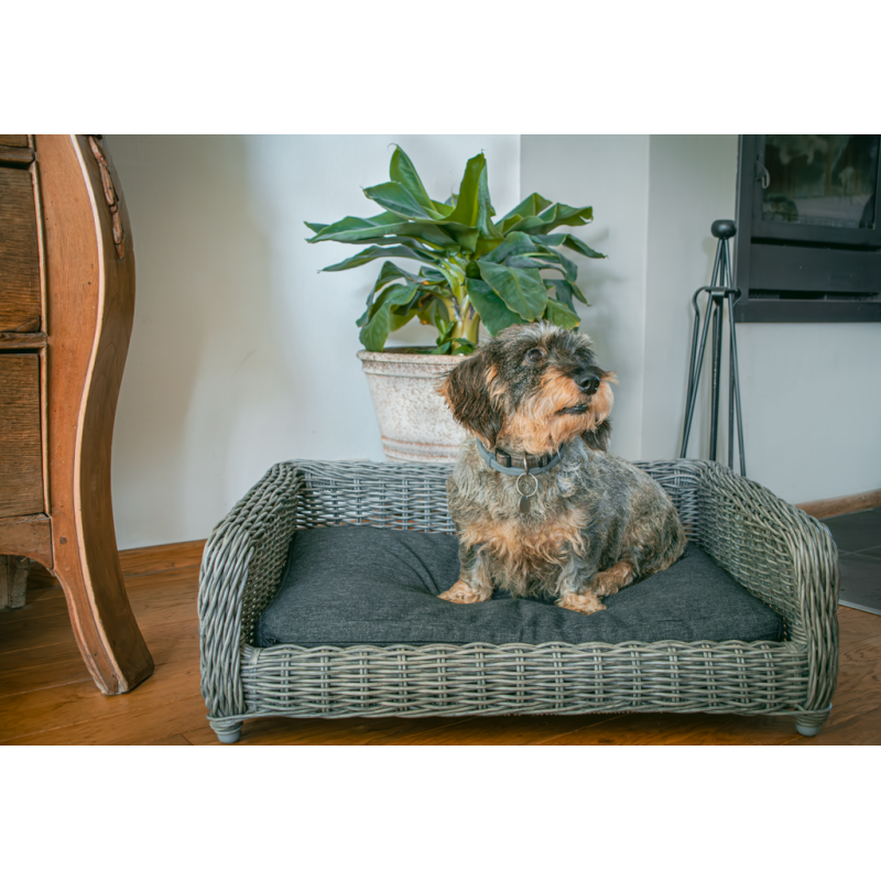 Let's Sleep Cozy Basket Hundekurv i Flet, L, Antracitgrå L96.2cm Let's Sleep Cozy Basket Hundekurv i Flet, L, Antracitgrå L96.2cm