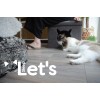 Let's SleepLad os sove Pet Cube Lys/Mørkegrå Let's SleepLad os sove Pet Cube Lys/Mørkegrå