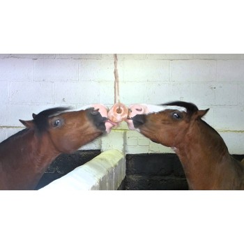 Saltsten Himalaya 2-3 kg med reb rent stensalt til hest Excellent Horse Saltsten Himalaya 2-3 kg med reb rent stensalt til hest Excellent Horse