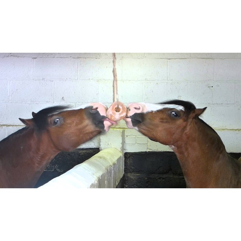 Excellent Horse Salt Lick Himalaya 2-3 kg Med reb Slikkesten Excellent Horse Salt Lick Himalaya 2-3 kg Med reb Slikkesten