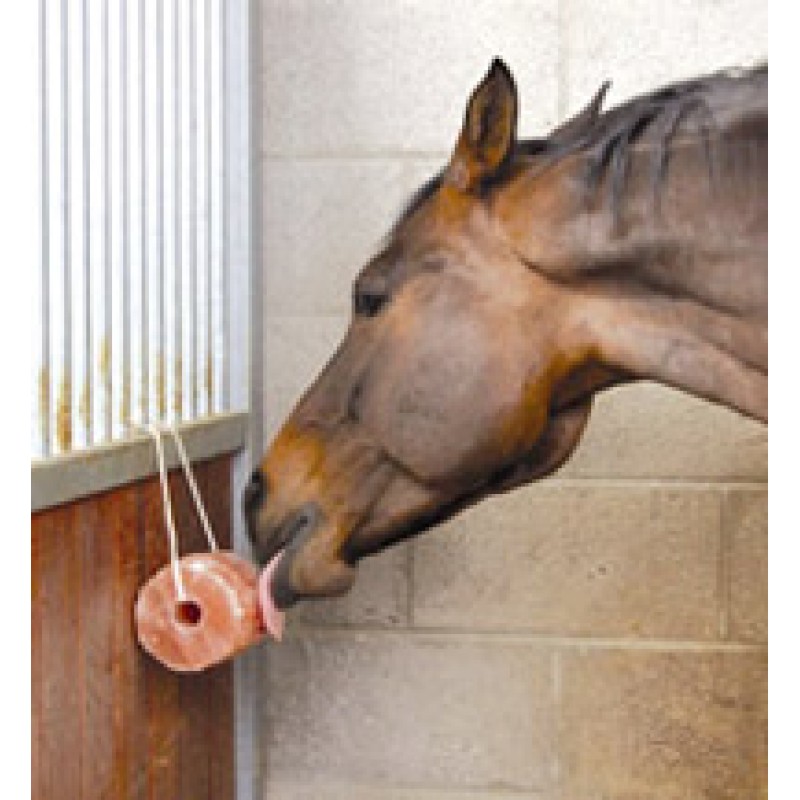 Excellent Horse Salt Lick Himalaya 2-3 kg Med reb Slikkesten Excellent Horse Salt Lick Himalaya 2-3 kg Med reb Slikkesten