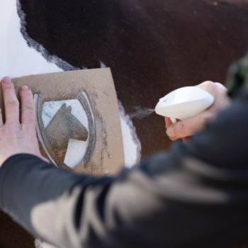 Enhjørning Glitter Spray Grøn Lucky Horse