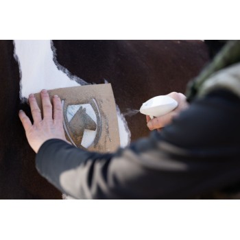 Enhjørning Glitter Spray Grøn Lucky Horse Enhjørning Glitter Spray Grøn Lucky Horse