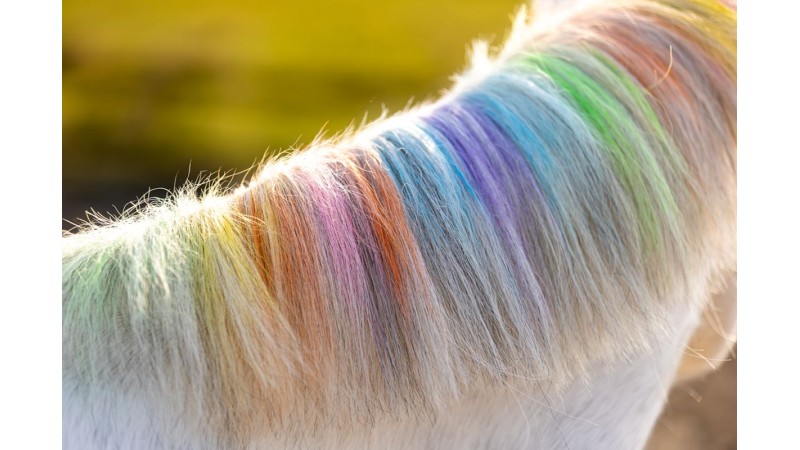 Lucky Horse - Vild med glimmer og farver til din pony