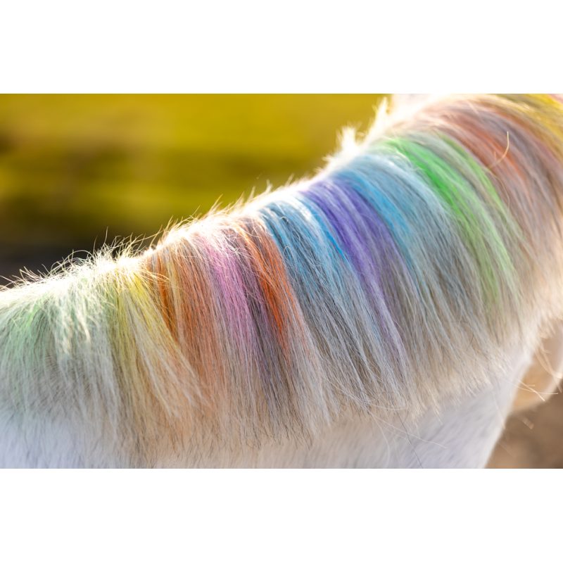 Lucky Horse Enhjørning regnbuefarvet kridt Lucky Horse Enhjørning regnbuefarvet kridt