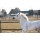 Lucky Horse