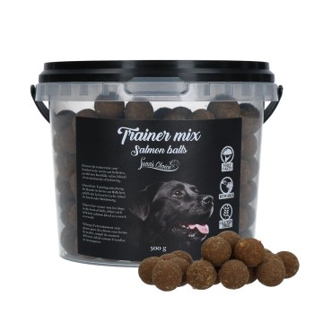 Trainer Mix lakseboller (glutenfri) Luna's Choice