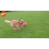Chuckit! Spark Hent Hund S Chuckit! Spark Hent Hund S