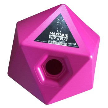 Legebold til hest Godbidsterning Maximus lilla