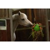 Sjov legebold lyserød L20cm Excellent Horse