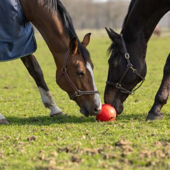 Hest legebold lyserød 20cm Maximus Excellent Horse