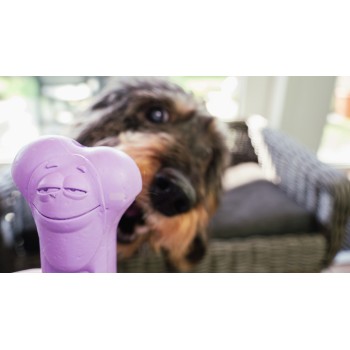 Tyggeben gummi El Tranquilo  Moodies