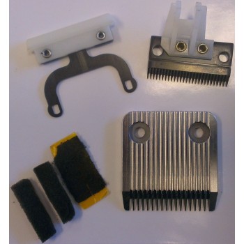 Moser klippeblade 1857 Moser klippeblade 1857