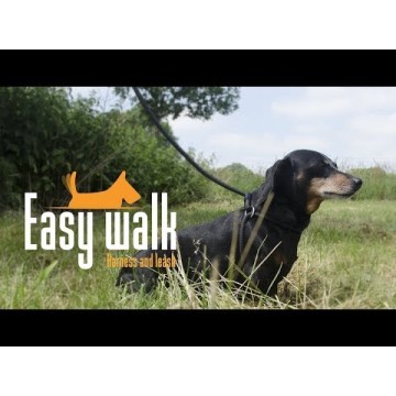 Snor og halsbånd Skuldermodel Sort - Normal Easy Walk S