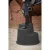 Opstigningsskammel 3 trin sort 70cm Excellent Horse