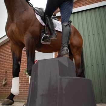 Opstigningsskammel 3 trin sort H55cm Excellent Horse